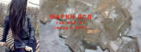 прущие грибы Волоколамск