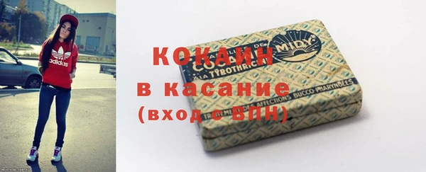 прущие грибы Волоколамск