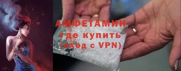 прущие грибы Волоколамск