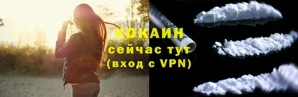 прущие грибы Волоколамск