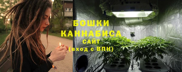 прущие грибы Волоколамск