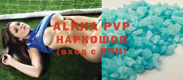 прущие грибы Волоколамск