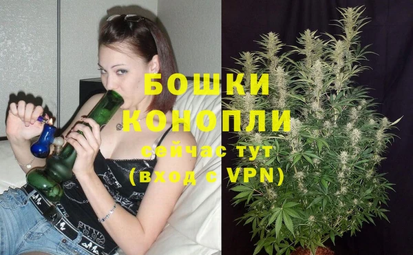 стафф Володарск