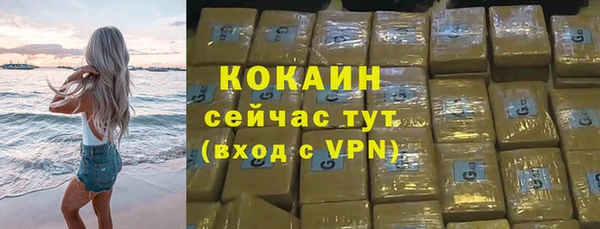 прущие грибы Волоколамск