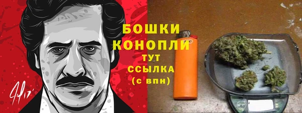 прущие грибы Волоколамск