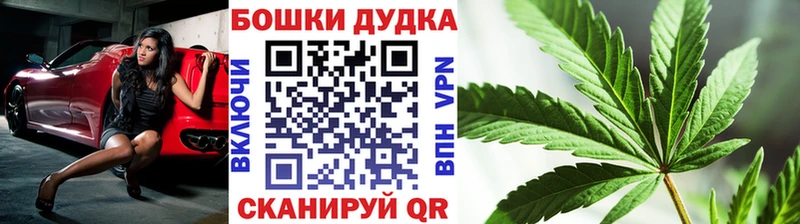 Конопля сатива  Йошкар-Ола 